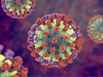 ���感病毒�q�化��Z��(ji��n)能穿透粘液的蛋白�?/>
                    </td>
                </tr>
                <tr>
                    <td  valign=